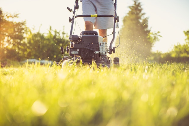 lawn%20mower%20in%20grass